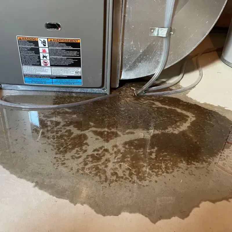 Appliance Leak Cleanup in North Port, FL